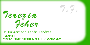 terezia feher business card